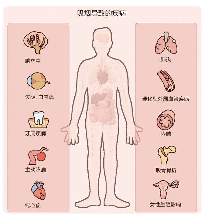 bfdbca40ee7bd65ac36f6b3844d7fc39.png